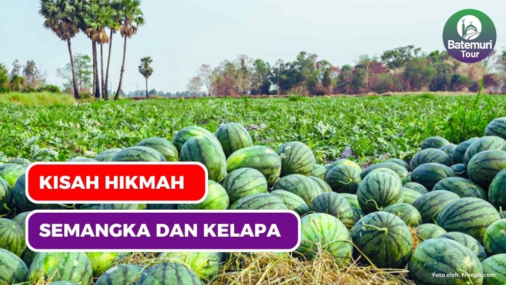 Kisah Hikmah : Buah Semangka dan Pohon Kelapa